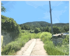  2025Ÿ��21701 �泲 ������ �д��� �Ÿ��� 692-2      ����(��1)���