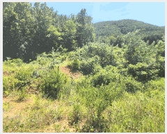  2025Ÿ��21701 �泲 ������ �д��� �Ÿ��� 692-2      ����(��1)���