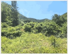  2025Ÿ��21701 �泲 ������ �д��� �Ÿ��� 692-2      ����(��1)���