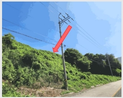  2025Ÿ��21741  �����