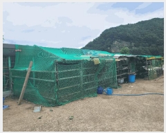  2025Ÿ��21758  ���ð��