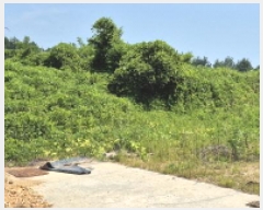  2025Ÿ��21789 �泲 ������ ���ϸ� ���¸� 122-8      ����(��1)���