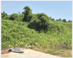  2025Ÿ��21789 �泲 ������ ���ϸ� ���¸� 122-8      ����(��1)���