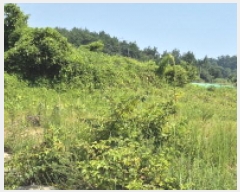  2025Ÿ��21789 �泲 ������ ���ϸ� ���¸� 122-8      ����(��1)���