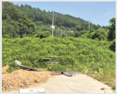  2025Ÿ��21789 �泲 ������ ���ϸ� ���¸� 122-8      ����(��1)���