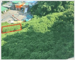  2025Ÿ��21829  �Ӿ߰��