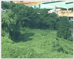  2025Ÿ��21829  �Ӿ߰��