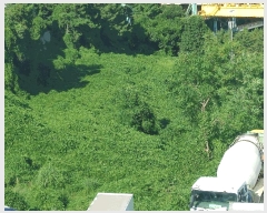  2025Ÿ��21829  �Ӿ߰��