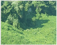  2025Ÿ��21829  �Ӿ߰��