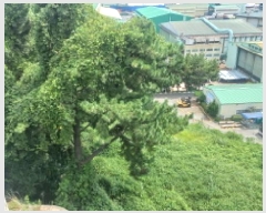  2025Ÿ��21829  �Ӿ߰��