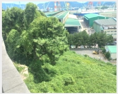  2025Ÿ��21829  �Ӿ߰��