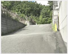  2025Ÿ��21853 �泲 ������ ������ 463-7       ���ð��