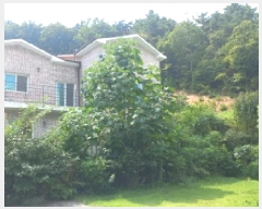  2025Ÿ��21853 �泲 ������ ������ 463-7       ���ð��