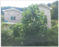  2025Ÿ��21853 �泲 ������ ������ 463-7       ���ð��