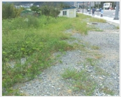  2025Ÿ��21887  ����