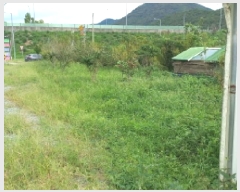  2025Ÿ��21887  ����