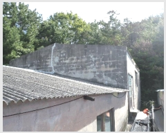  2025Ÿ��21911  �������