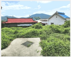  2025Ÿ��21919 �泲 ������ �д��� ������ 61      ����(�Ӿ�)���