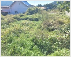  2025Ÿ��21919 �泲 ������ �д��� ������ 61      ����(�Ӿ�)���