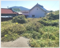  2025Ÿ��21919 �泲 ������ �д��� ������ 61      ����(�Ӿ�)���