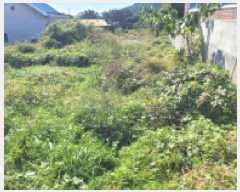  2025Ÿ��21919 �泲 ������ �д��� ������ 61      ����(�Ӿ�)���