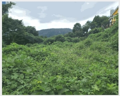  2025Ÿ��21936 �泲 ������ �Ͽ�� �ҵ��� 146-2      ����(��1)���