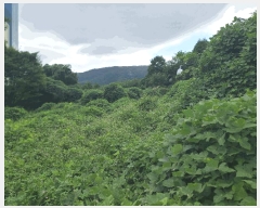  2025Ÿ��21936 �泲 ������ �Ͽ�� �ҵ��� 146-2      ����(��1)���