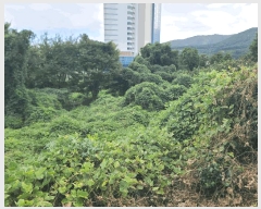  2025Ÿ��21936 �泲 ������ �Ͽ�� �ҵ��� 146-2      ����(��1)���