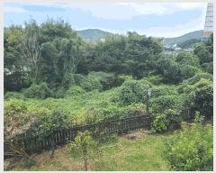  2025Ÿ��21936 �泲 ������ �Ͽ�� �ҵ��� 146-2      ����(��1)���