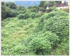  2025Ÿ��21936 �泲 ������ �Ͽ�� �ҵ��� 146-2      ����(��1)���