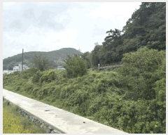  2025Ÿ��21977 �泲 ������ ���ʸ� ���縮 143      ����(��)���