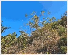  2025Ÿ��22172 �泲 �뿵�� ����� ������ ��273-13      ����(�Ӿ�)���