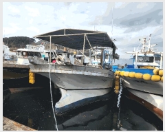  2025Ÿ��22277  ���ڰ��