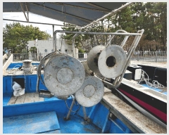  2025Ÿ��22277  ���ڰ��