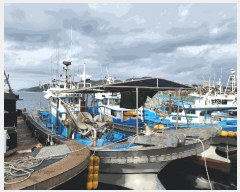  2025Ÿ��22277  ���ڰ��