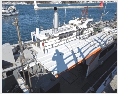  2025Ÿ��22337  ���ڰ��