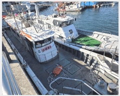  2025Ÿ��22337  ���ڰ��