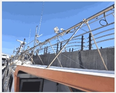  2025Ÿ��22337  ���ڰ��