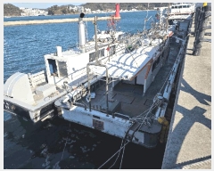  2025Ÿ��22337  ���ڰ��