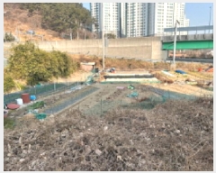  2025Ÿ��53  ����