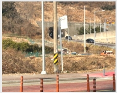  2025Ÿ��53  ����