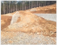  2025Ÿ��138  �Ӿ߰��