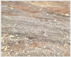  2025Ÿ��138  �Ӿ߰��