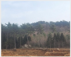  2025Ÿ��138  �Ӿ߰��