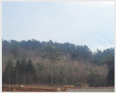  2025Ÿ��138  �Ӿ߰��