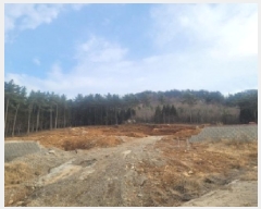  2025Ÿ��138  �Ӿ߰��