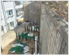  2025Ÿ220 泲  θ е 275-9      (1)