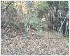  2025Ÿ20187 泲  ȸȭ и 392      (1)