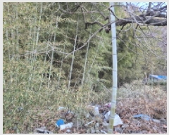  2025Ÿ20187 泲  ȸȭ и 392      (1)