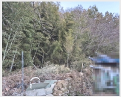  2025Ÿ20187 泲  ȸȭ и 392      (1)